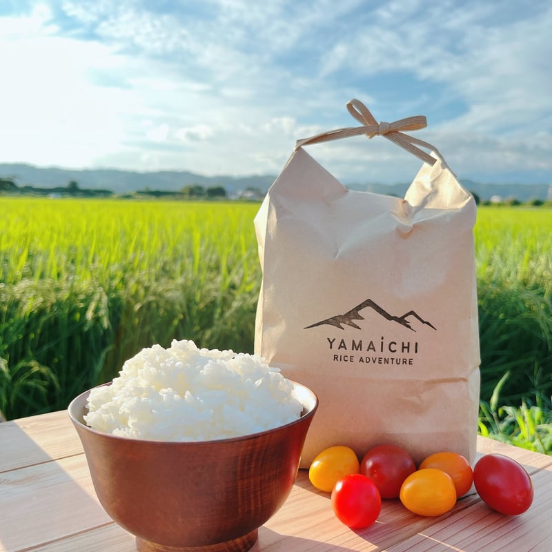 喜多方産 コシヒカリ 10kg 新米】 令和7年産 喜多方市産 コシヒカリ ＜10kg＞ | YAMAICHI RICE A