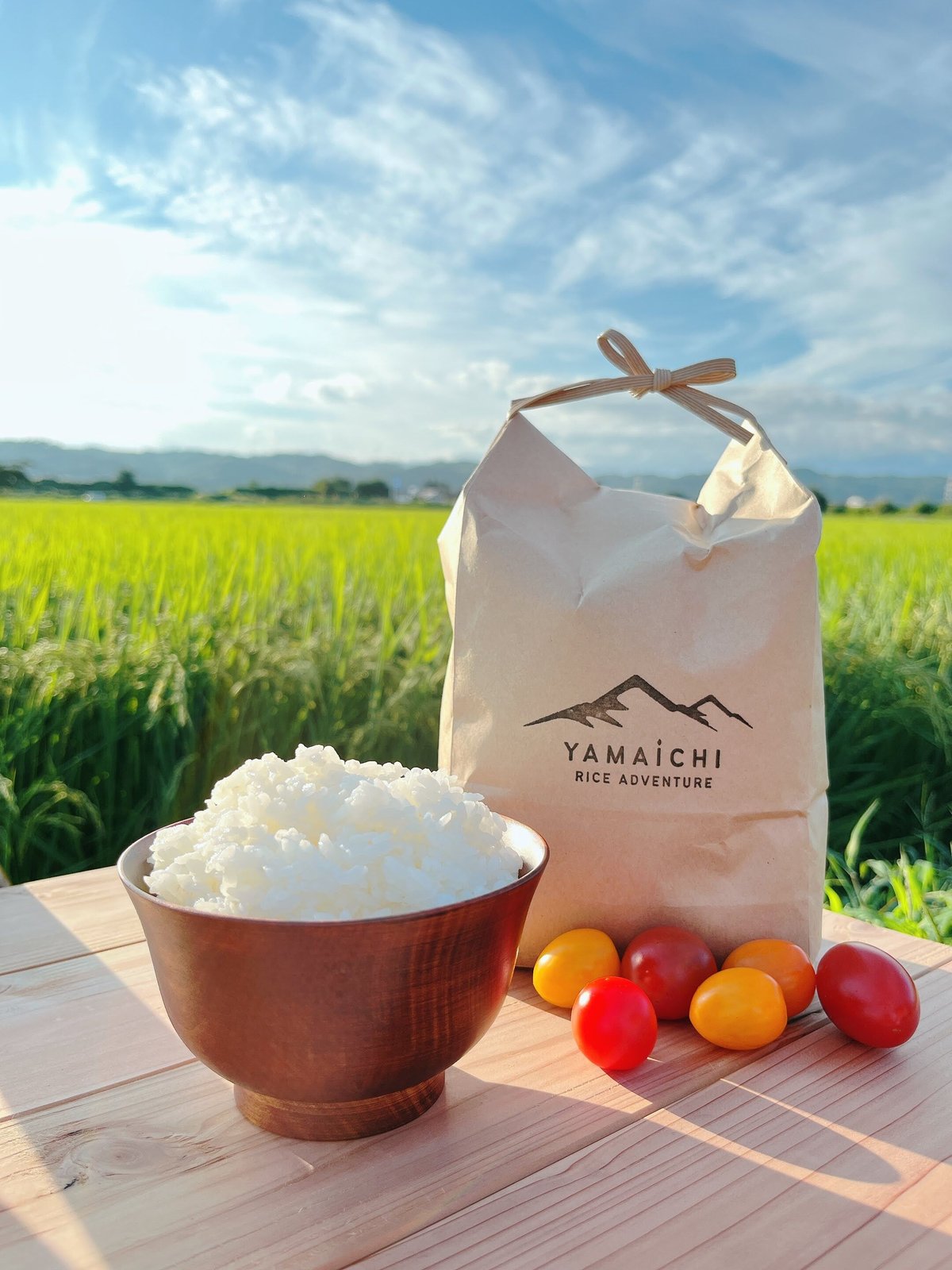 令和7年産 喜多方市産 コシヒカリ ＜5kg＞ | YAMAICHI RICE ADVENTU