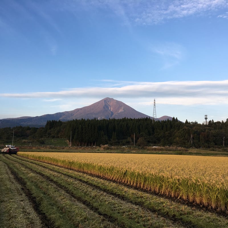定期便>令和6年産 磐梯町産 いのちの壱(特別栽培米)【玄米 定期便>令和6年産 磐梯町産 いのちの壱(特別栽培米)【玄米