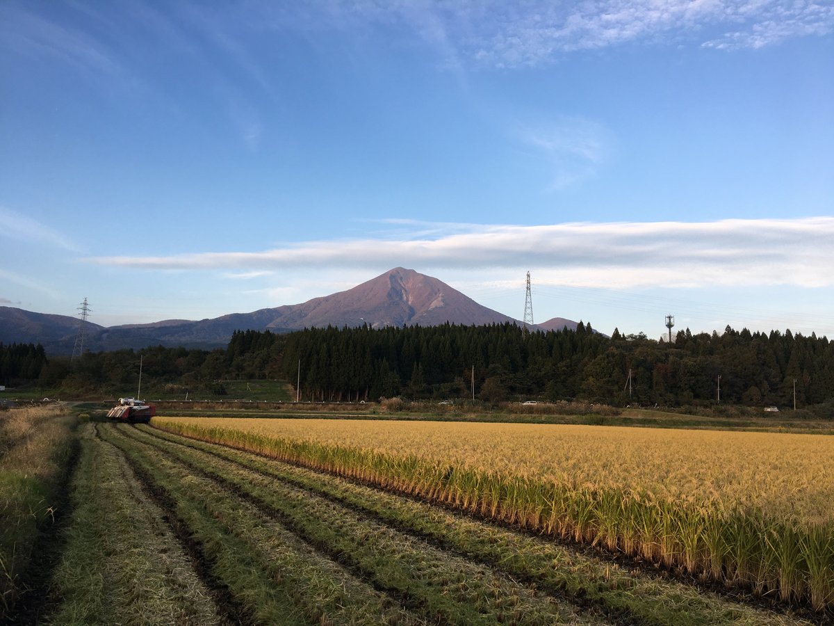 定期便>令和6年産 磐梯町産 いのちの壱(特別栽培米)【玄米 定期便>令和6年産 磐梯町産 いのちの壱(特別栽培米)【玄米
