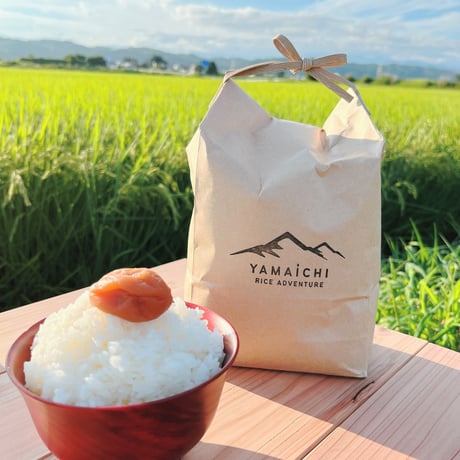 いのちの壱 | STORES