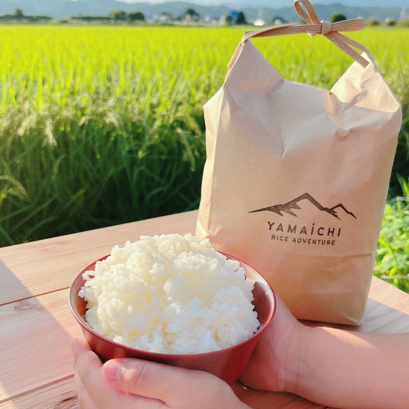 令和7年産 喜多方市産 コシヒカリ ＜5kg＞ | YAMAICHI RICE ADVENTU