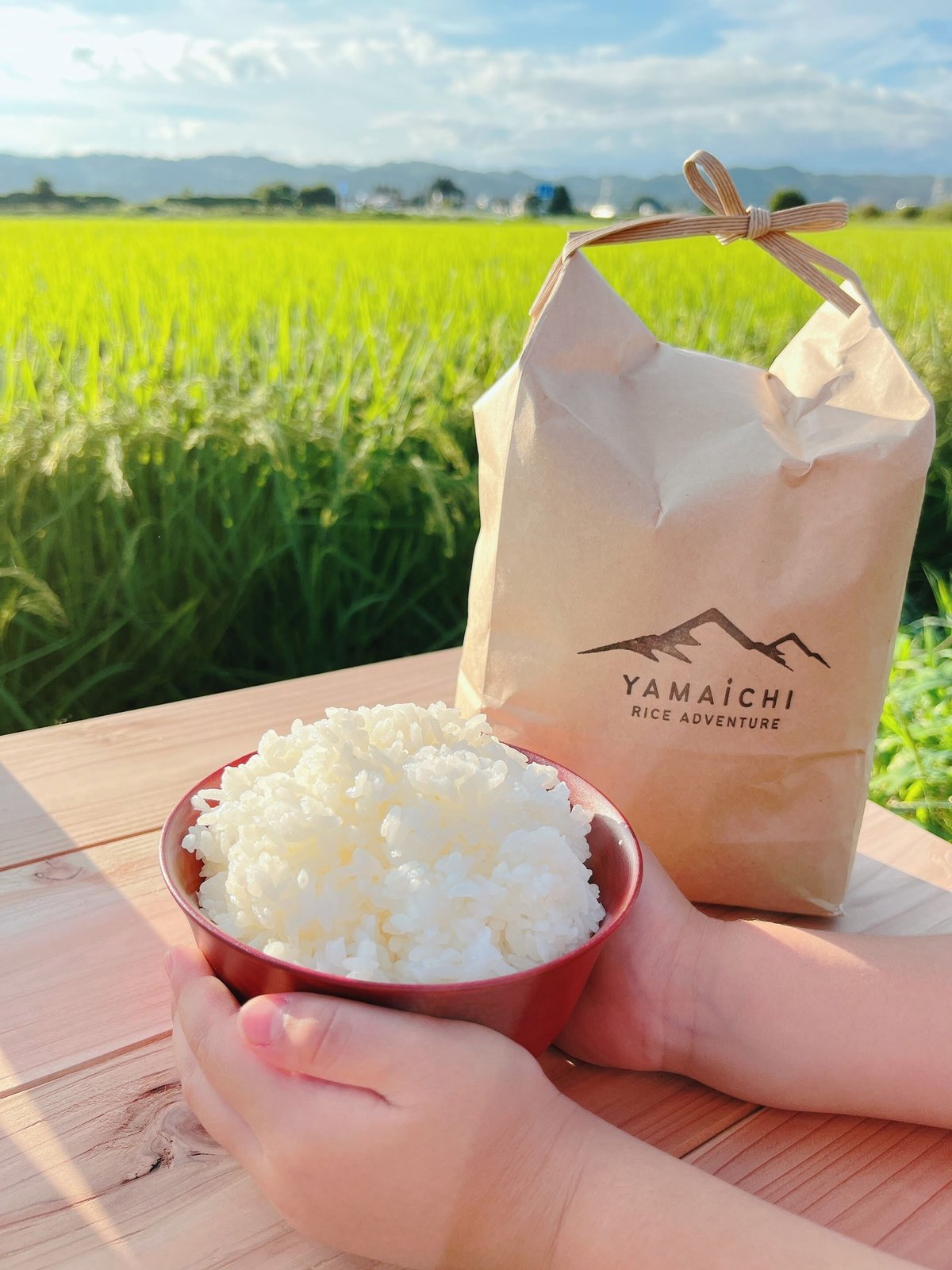 令和7年産 喜多方市産 コシヒカリ ＜5kg＞ | YAMAICHI RICE ADVENTU