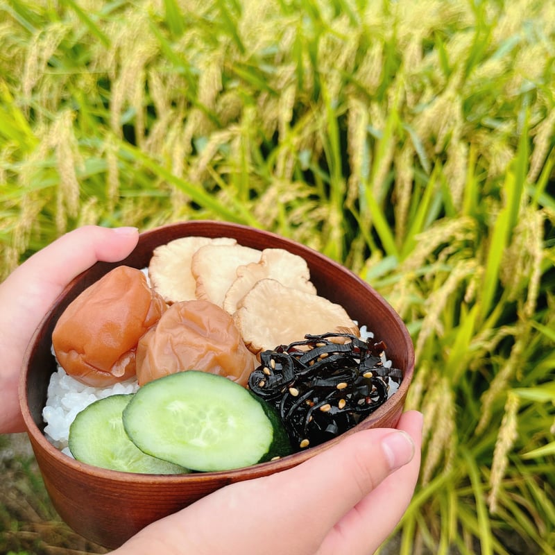 数量限定・再入荷】 令和7年産 磐梯町産 ひとめぼれ ＜30kg