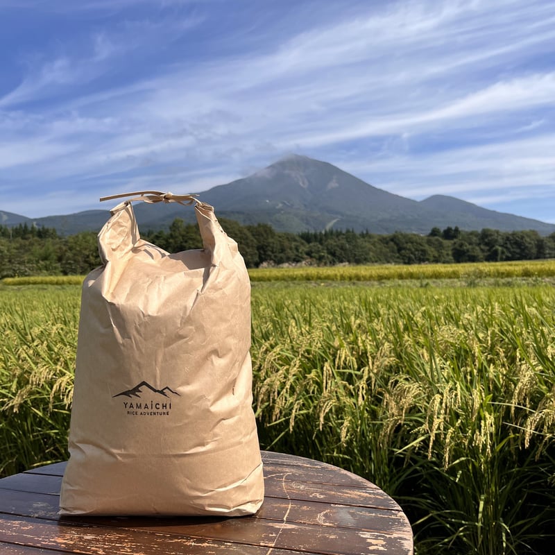 数量限定・再入荷】 令和7年産 磐梯町産 ひとめぼれ ＜30kg
