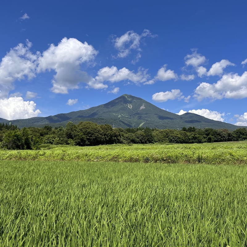 数量限定・再入荷】 令和7年産 磐梯町産 ひとめぼれ ＜30kg