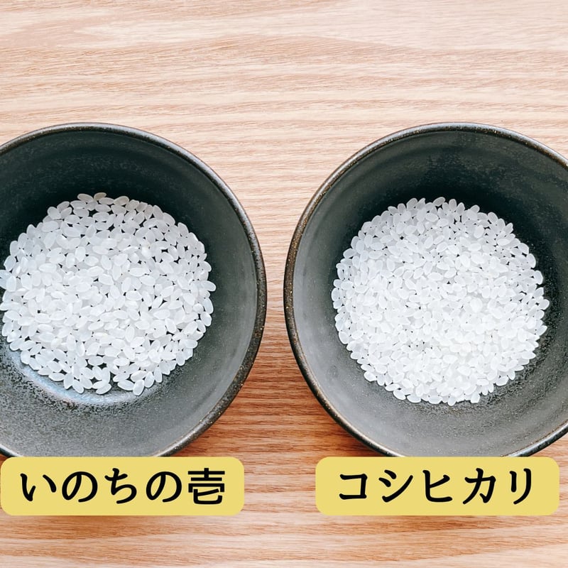 令和7年産 磐梯町産 いのちの壱 ＜30kg＞ | YAMAICHI RICE ADVENTU