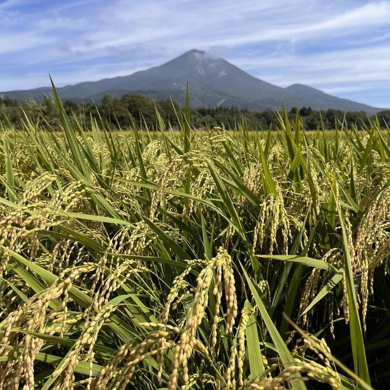 数量限定・再入荷】 令和7年産 磐梯町産 ひとめぼれ ＜30kg