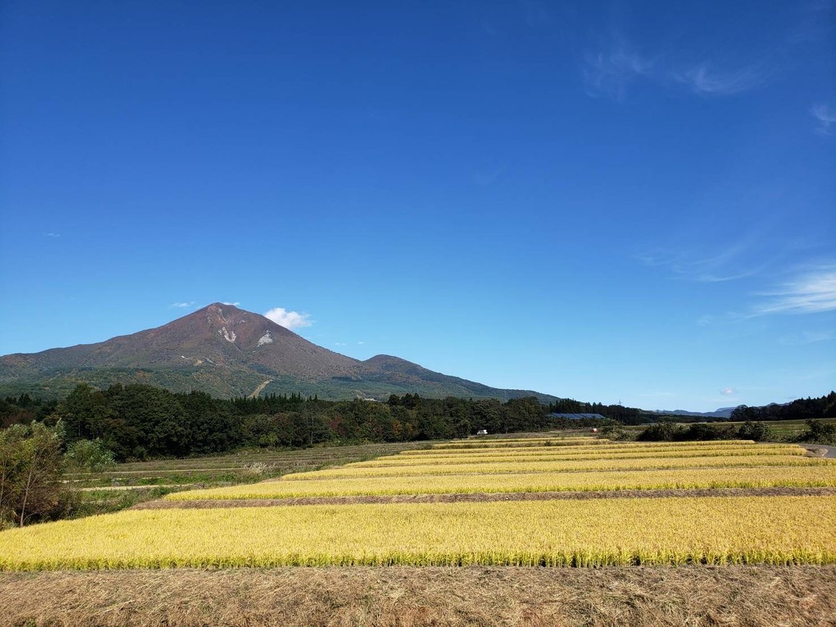 定期便>令和6年産 磐梯町産 いのちの壱(特別栽培米)【玄米 定期便>令和6年産 磐梯町産 いのちの壱(特別栽培米)【玄米