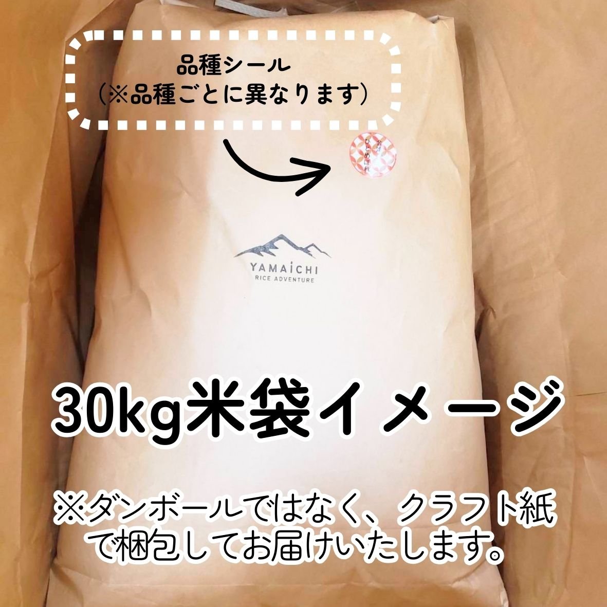 令和7年産 磐梯町産 いのちの壱 ＜30kg＞ | YAMAICHI RICE ADVENTU