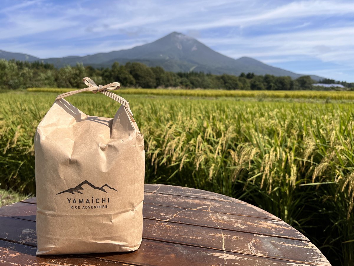 R7産  ひとめぼれ 令和7年産 福島県産 ひとめぼれ 10㎏（5kg×2） | みずほ食糧