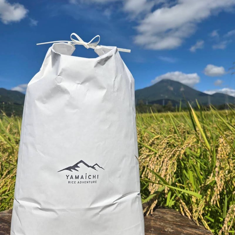 令和7年産 磐梯町産 いのちの壱 ＜10kg＞ | YAMAICHI RICE ADVENTU