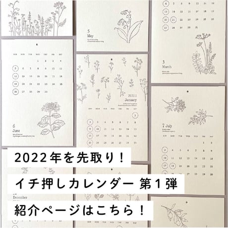 「2022年を先取り！ イチ押しカレンダー 第1弾」作り手の紹介ページはこちら！