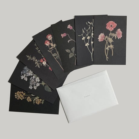 【4月号掲載分】ささきめぐみ｜ポストカード7枚セット「Flower 1」