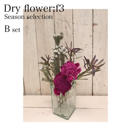 【10月号掲載分】Dryflower:f3｜f3セレクション季節のお花セットB