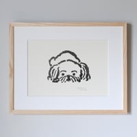 しらいしののこ｜ずっとそばにいる