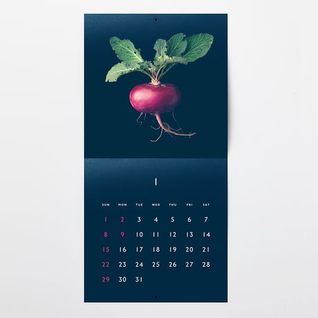 【12月号掲載分】S/S/A/W｜お野菜カレンダー 2023