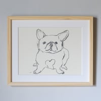 しらいしののこ｜会えてうれしい