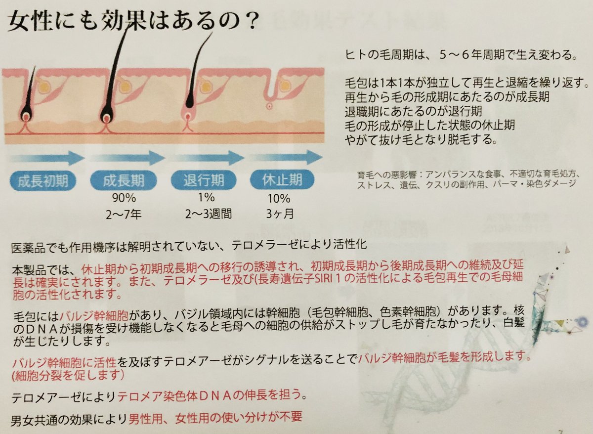 キャンペーン中！ ヒト幹細胞入り頭皮用育毛剤 ３ヶ月分（2本セット） | ヒト幹細胞上清液パウ...