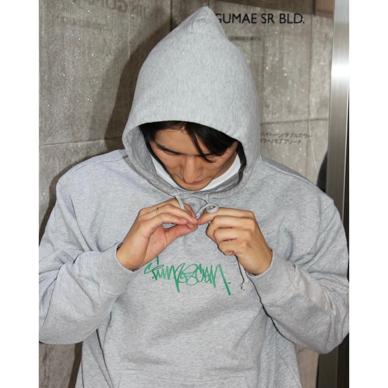 TIMESCAN / SCRIPT LOGO HOODIE - ASH | ARKTZ