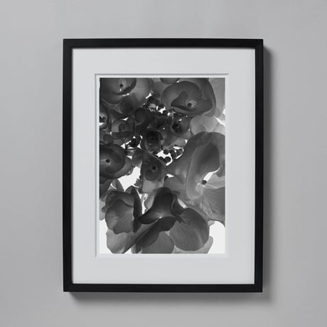 BW-flower-004_LL