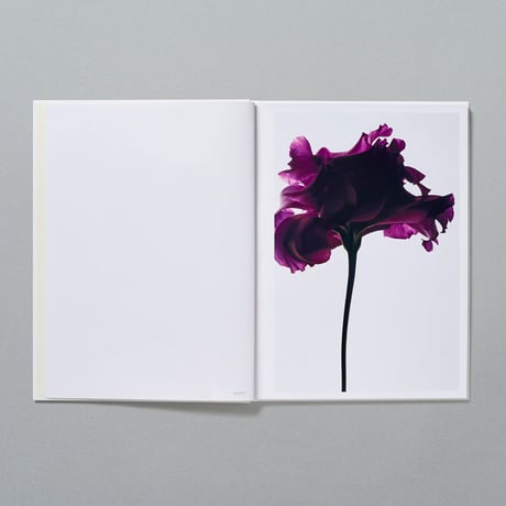 BOOK_Living Flowers