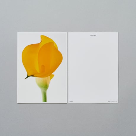 POST CARD_Living Flowers 01