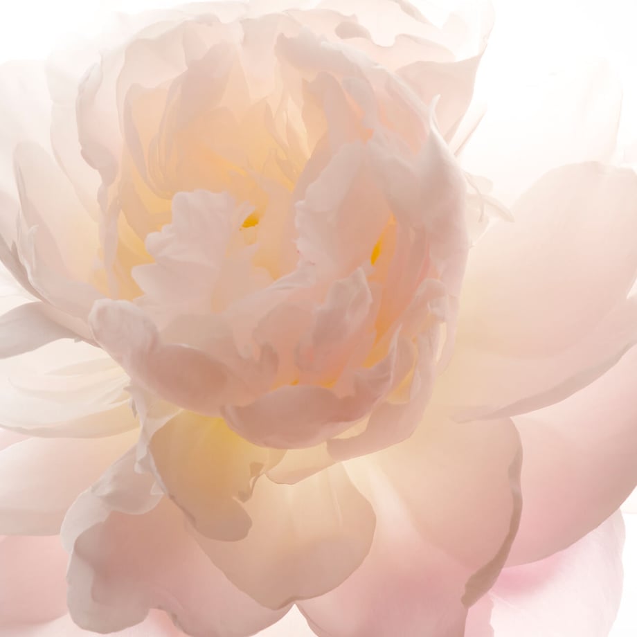 61690b3cac3661244e1f760d
