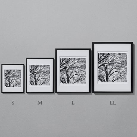 BW-Forest-007_M