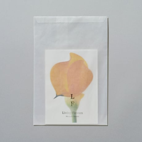 POST CARD_Living Flowers 01