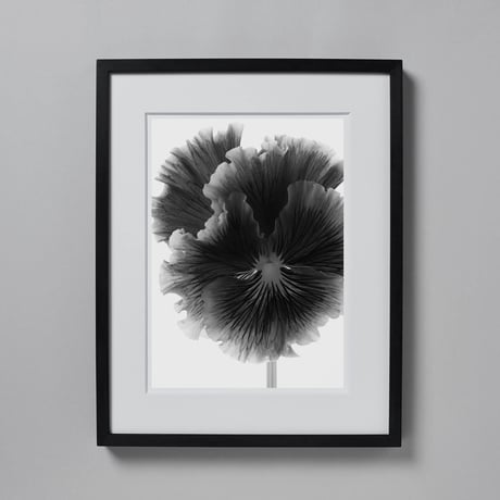 BW-flower-002_S