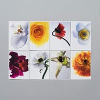 POST CARD_Living Flowers 02