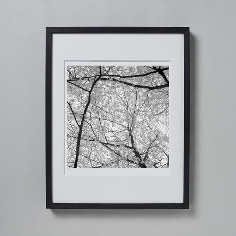 BW-Forest-005_M