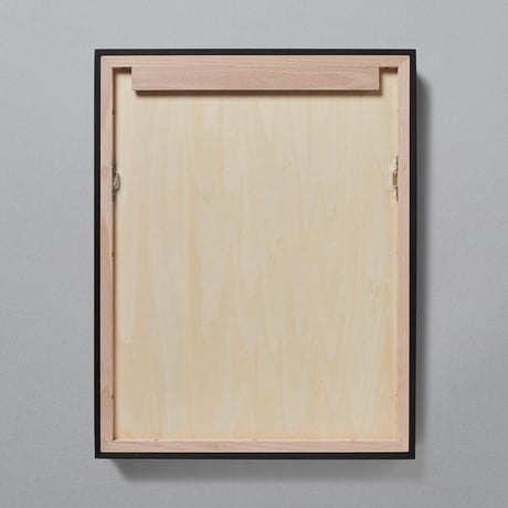 NT-009_M