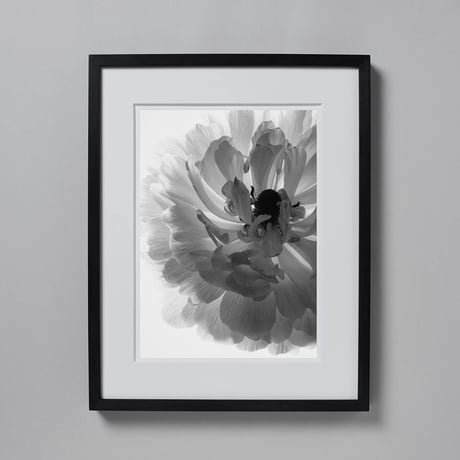 BW-flower-009_LL