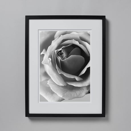 BW-flower-003_M