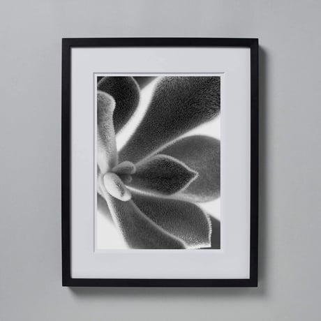 BW-Succulent-004_L