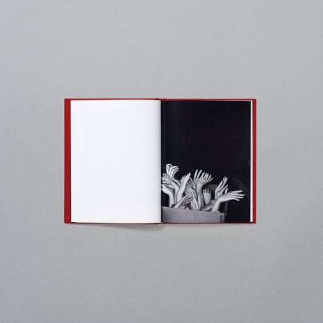 BOOK_mannequins