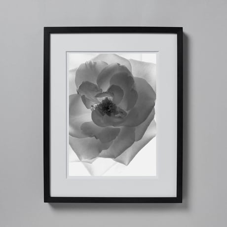 BW-flower-007_L