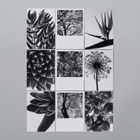 POSTCARD_BLACK AND WHITE
