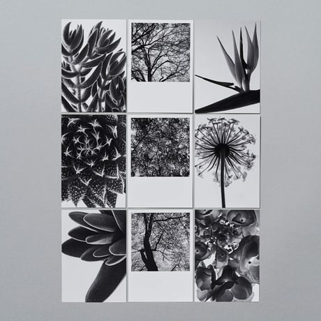 POSTCARD_BLACK AND WHITE