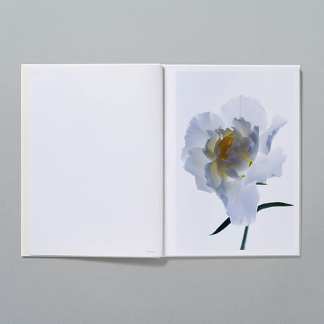 BOOK_Living Flowers