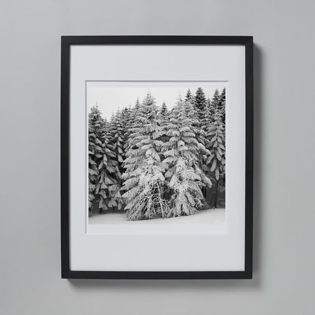 BW-Forest-008_M