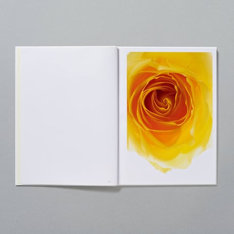 BOOK_Living Flowers