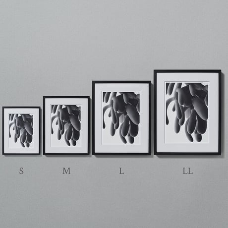BW-Succulent-006_M