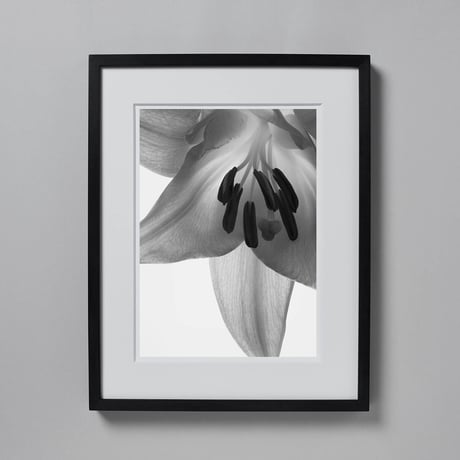 BW-flower-005_L