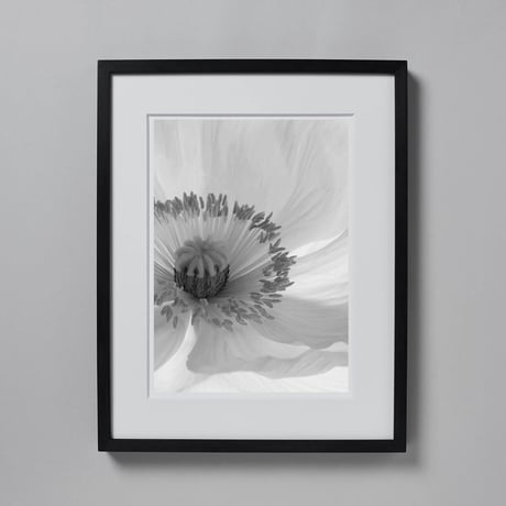 BW-flower-006_LL