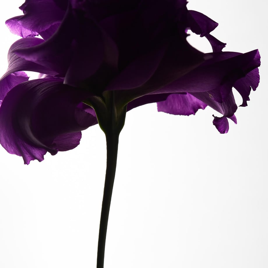 616a244d9dbfee5baae9f1d4