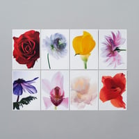 POST CARD_Living Flowers 01