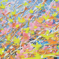 武田吉晴（Yoshiharu Takeda） - Aspiration【CD】 | GREEN